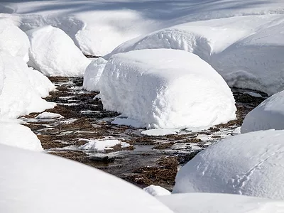 Feb snow survey