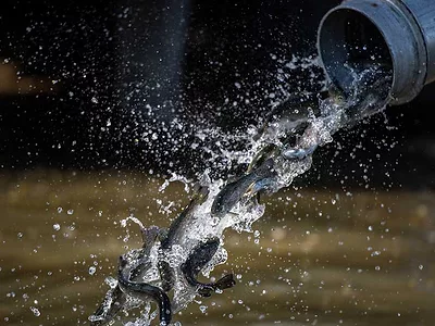 Fish Release DWR