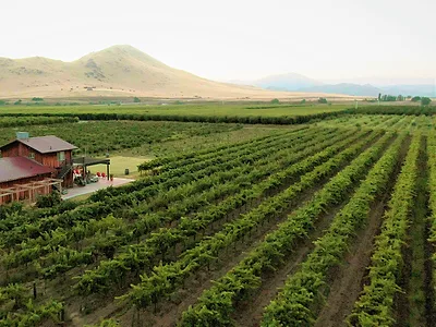 Fresno County farm