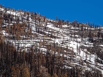 Low California snowpack