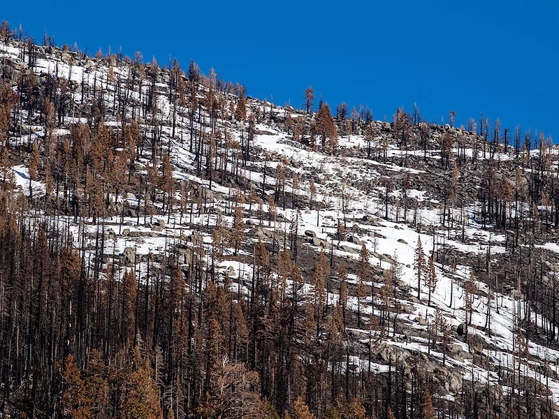 Low California snowpack