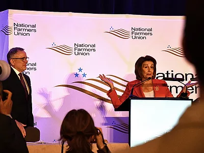 Nancy Pelosi