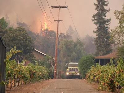 Napa Glass Fire vineyards