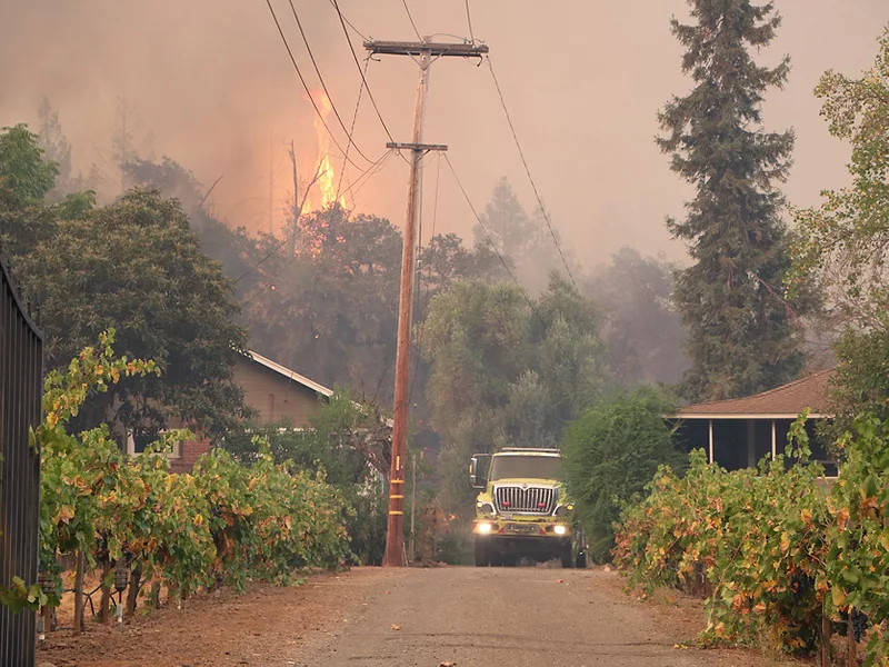 Napa Glass Fire vineyards