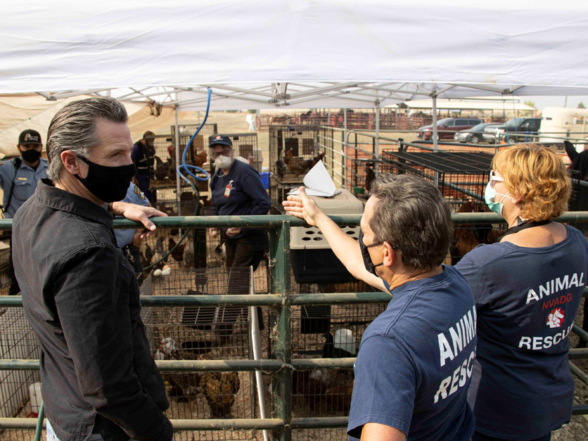Newsom tours animal rescue in Oroville