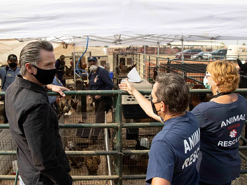 Newsom tours animal rescue in Oroville