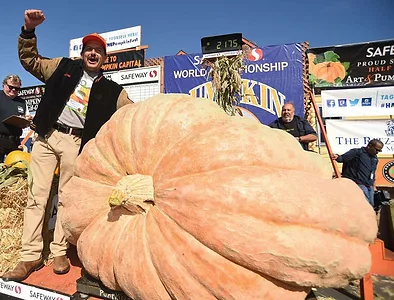 one-ton pumpkin