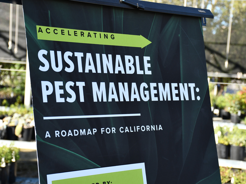 Roadmap to sustainable pest management