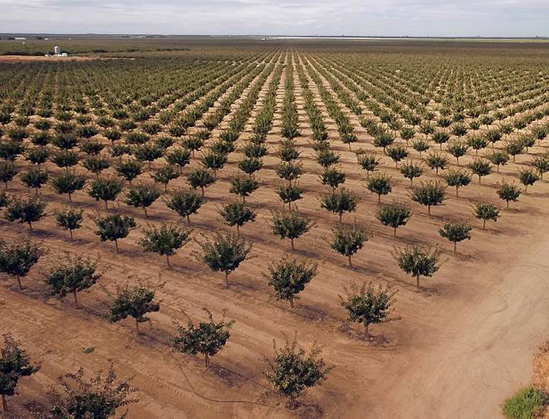 San Joaquin Valley agriculture 836x637