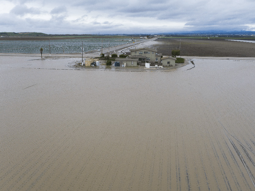 Salinas California Flooded Strawberry Fields