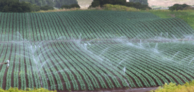 Salinas Valley irrigation