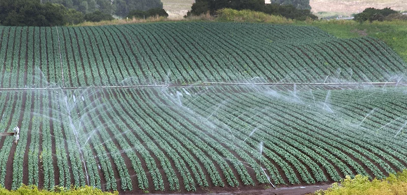 Salinas Valley irrigation
