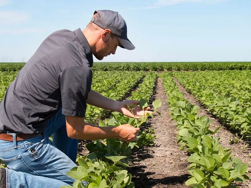 UC ag specialist