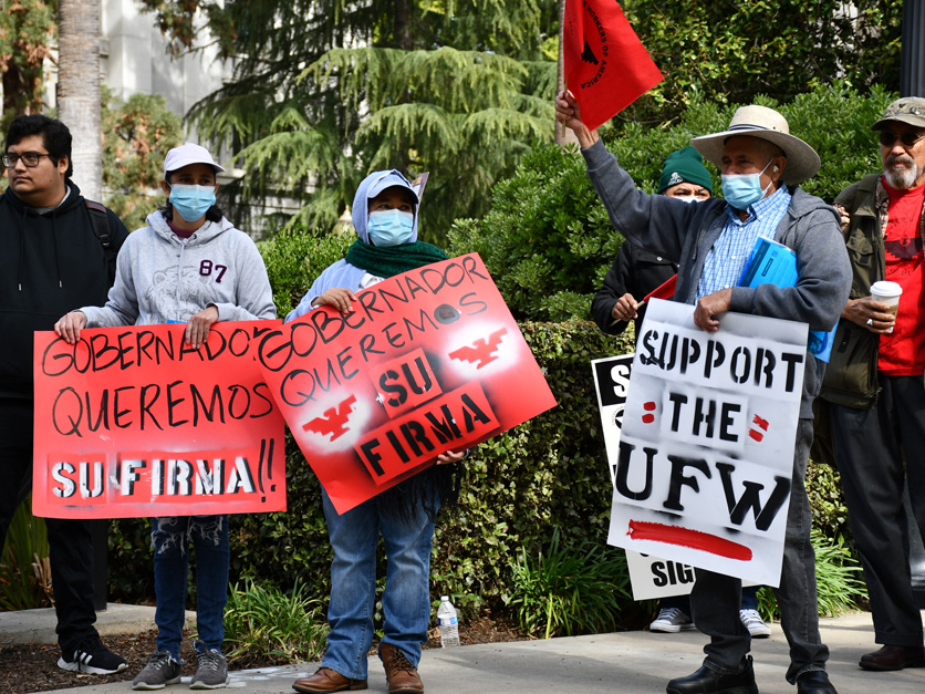 United Farm Worker rally at the Capitol