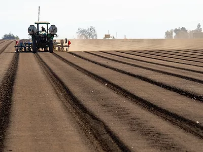 Yolo County crop field DWR