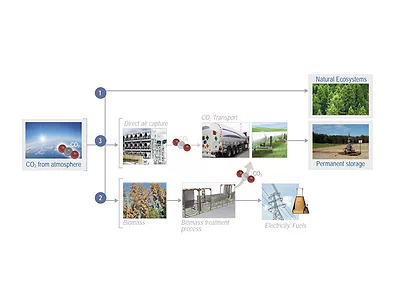 carbon capture report