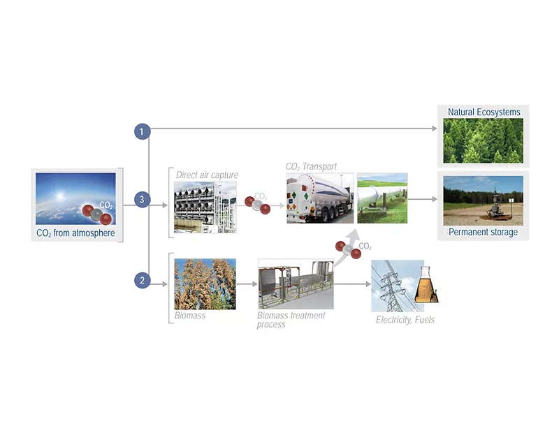 carbon capture report