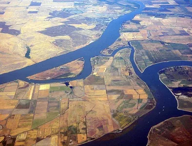 delta farms