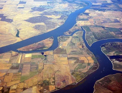 Delta farms