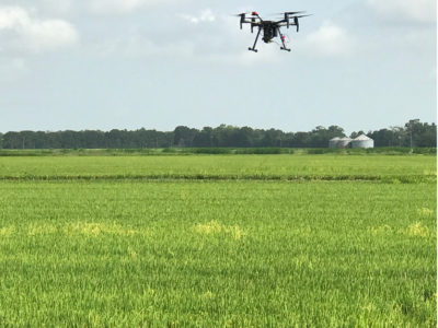 a drone flies over a field