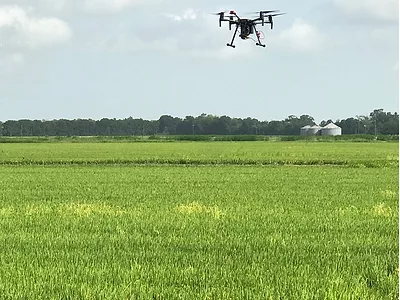 a drone flies over a field