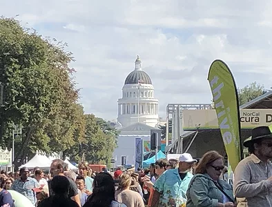 Farm to Fork Festival