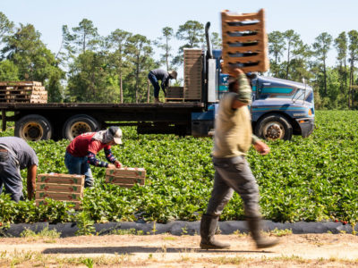 farmworkers and a truck USDA
