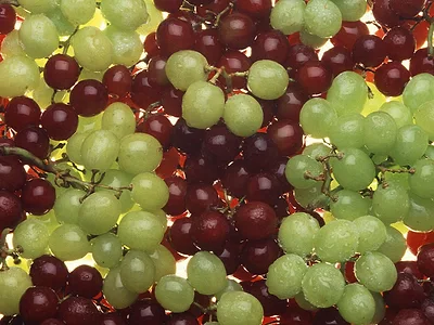 grapes USDA