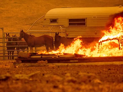horses in fire Lairmore