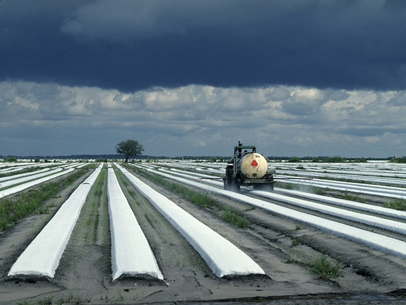 Farm groups blast pesticide regulation for wasting water - Agri-Pulse