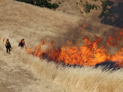 prescribed burn in Sonoma County