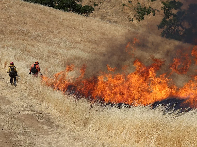 prescribed burn in Sonoma County