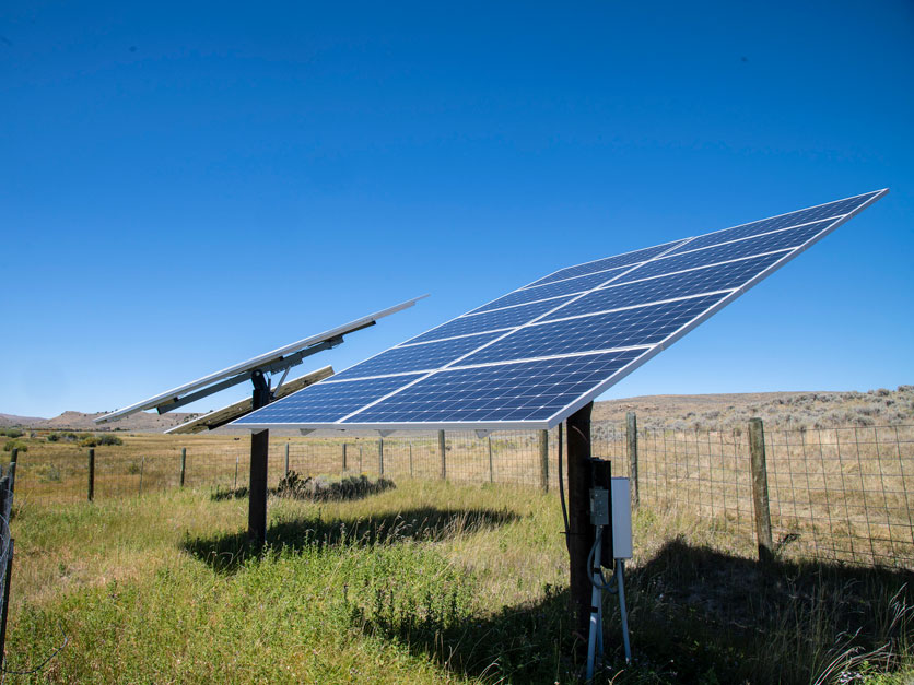 solar panels USDA