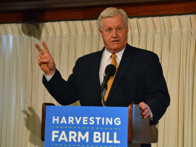Rep. Collin Peterson, D-Minn.