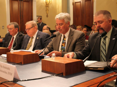 House Natural Resources Committee Witnesses