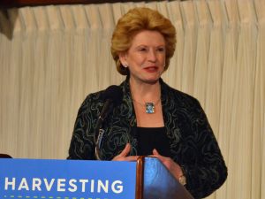 Debbie Stabenow