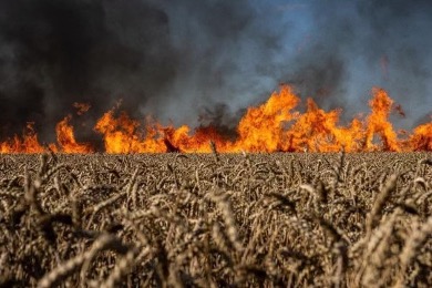 Fires in Ukraine wheat field.jpg