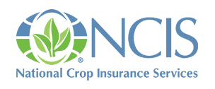 NCIS Logo