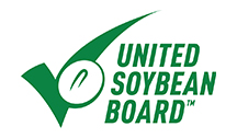 USB Logo