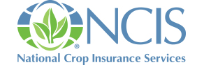 NCIS Logo