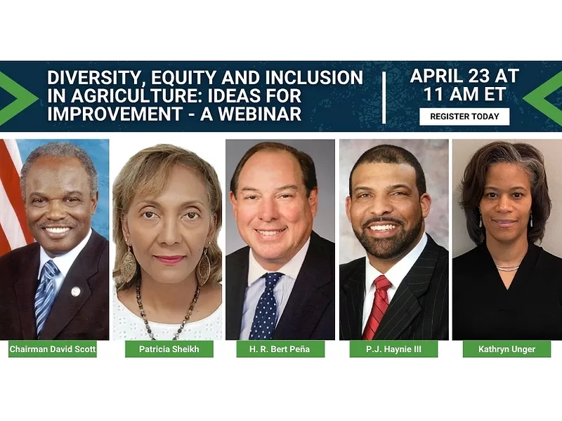 Diversity, equity and inclusion in agriculture: Ideas for improvement