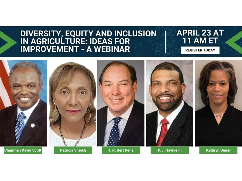 Diversity, Equity and Inclusion in Agriculture: Ideas for Improvement