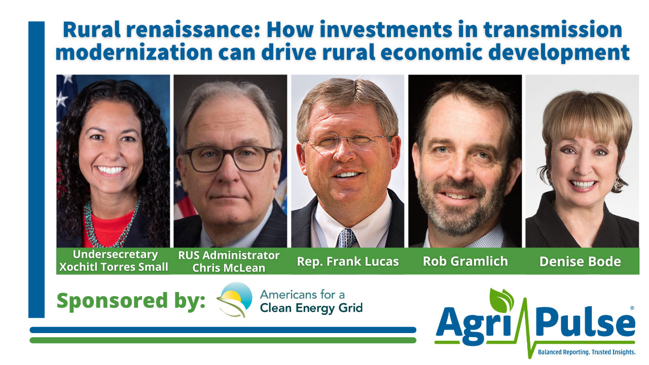 Rural renaissance: How investments in transmission modernization can drive rural economic development thumbnail