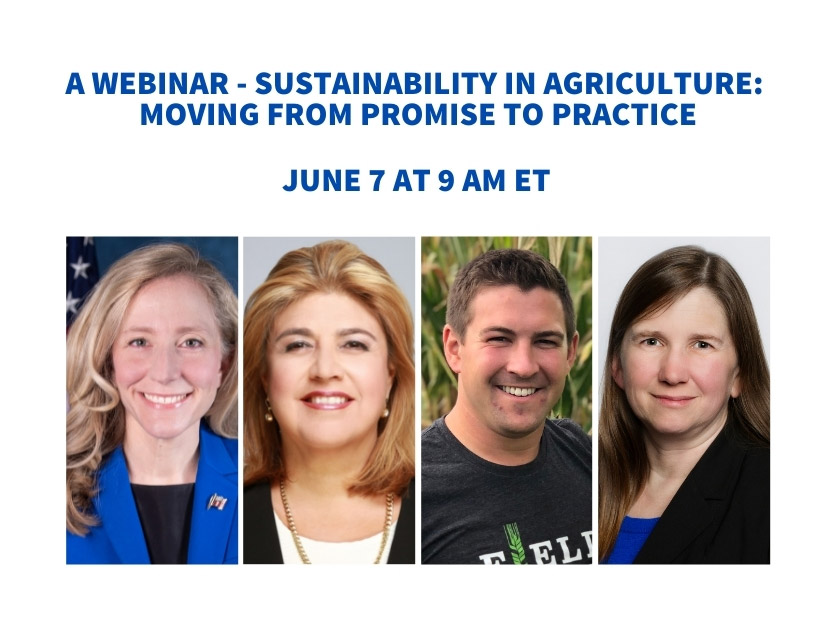 Sustainability in Agriculture: Moving from promise to practice (webinar)