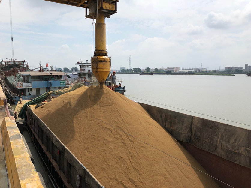 China soybean delivery