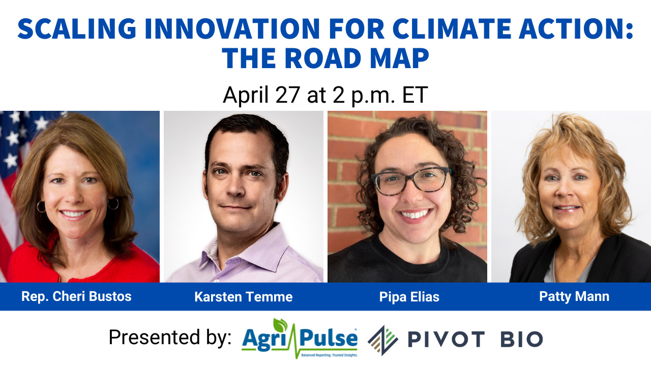 Scaling innovation for climate action: The road map Thumbnail