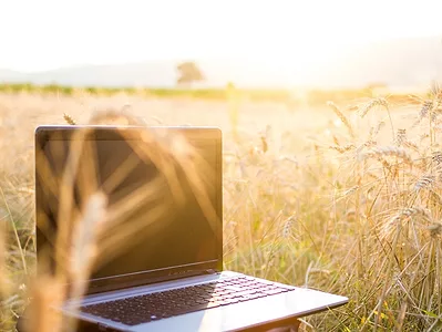 laptop in field