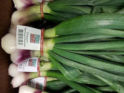 Coke Farms Spring Onions 836x627