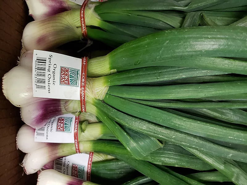 Coke Farms Spring Onions 836x627