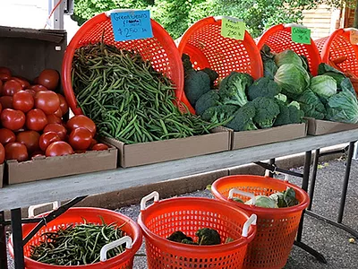 Farmers Market Produce Stand